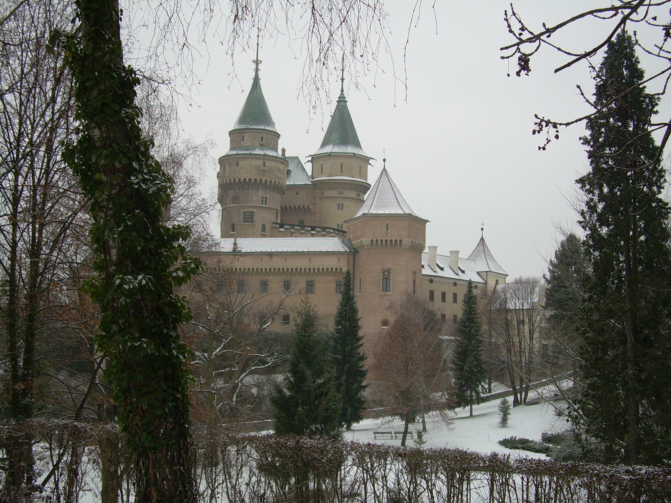 DSCN8133.JPG