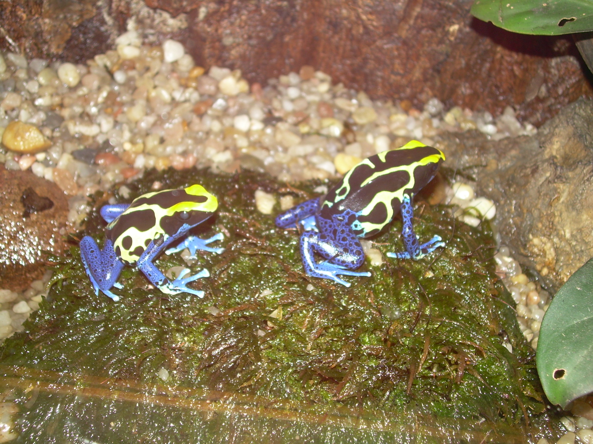 DSCN8148.JPG
