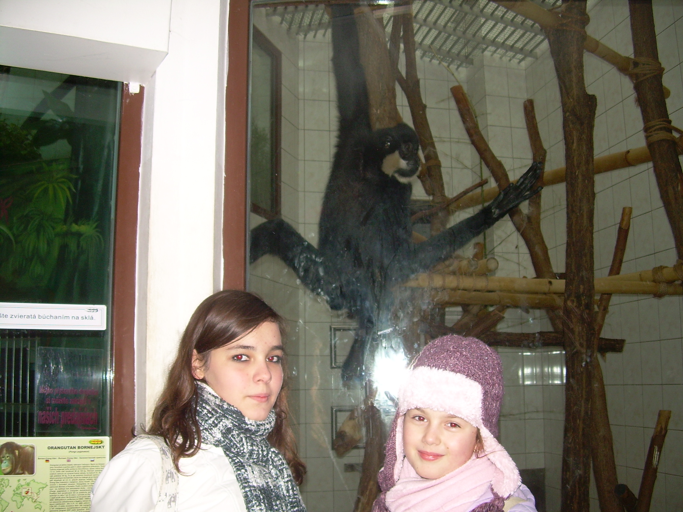 DSCN8163.JPG