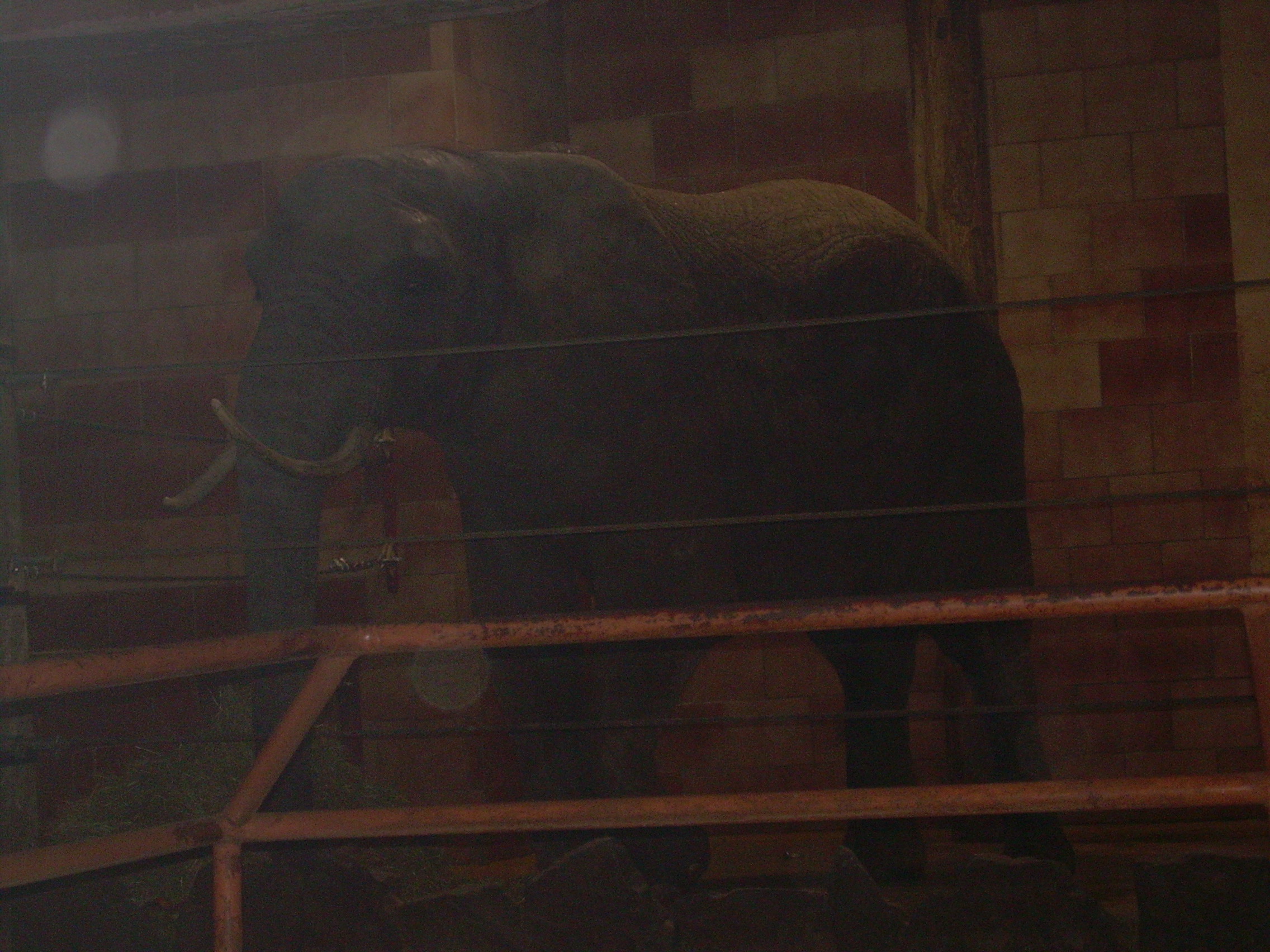 DSCN8187.JPG