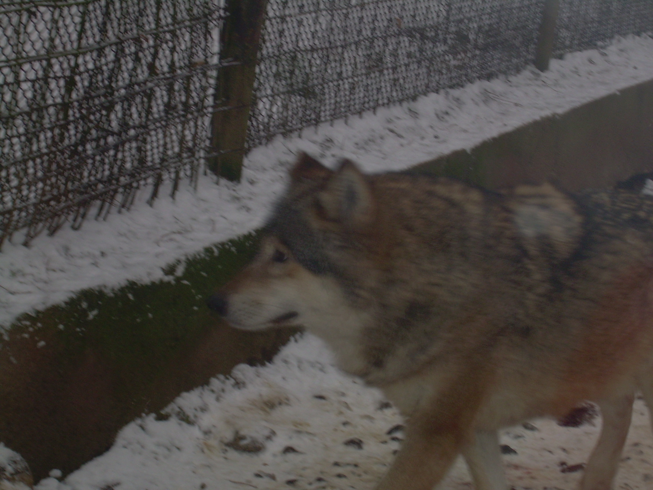 DSCN8195.JPG