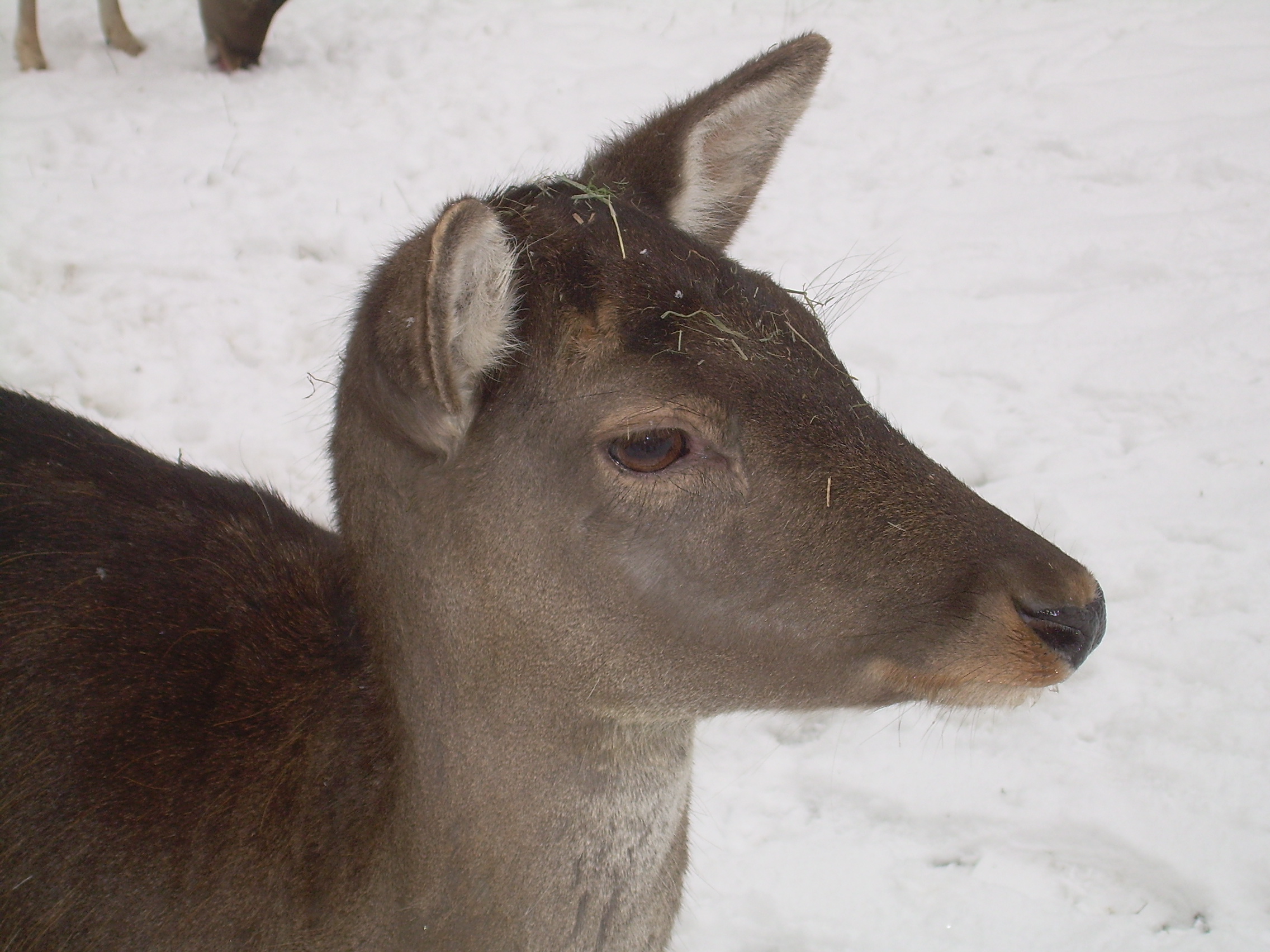 DSCN8200.JPG