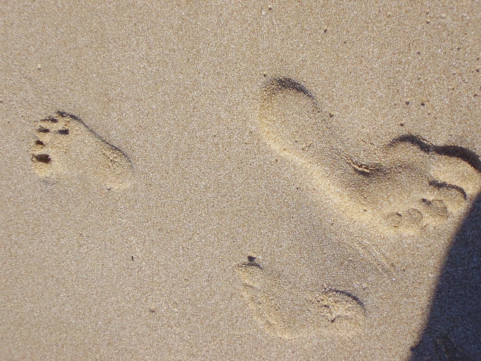 P7010047.JPG