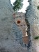 DSCF0380.JPG