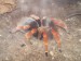 DSCN8134.JPG