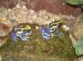 DSCN8148.JPG
