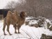 DSCN8201.JPG